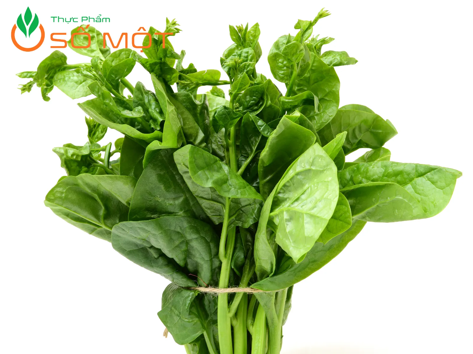 Hàm lượng dinh dưỡng trong rau mồng tơi rất cao