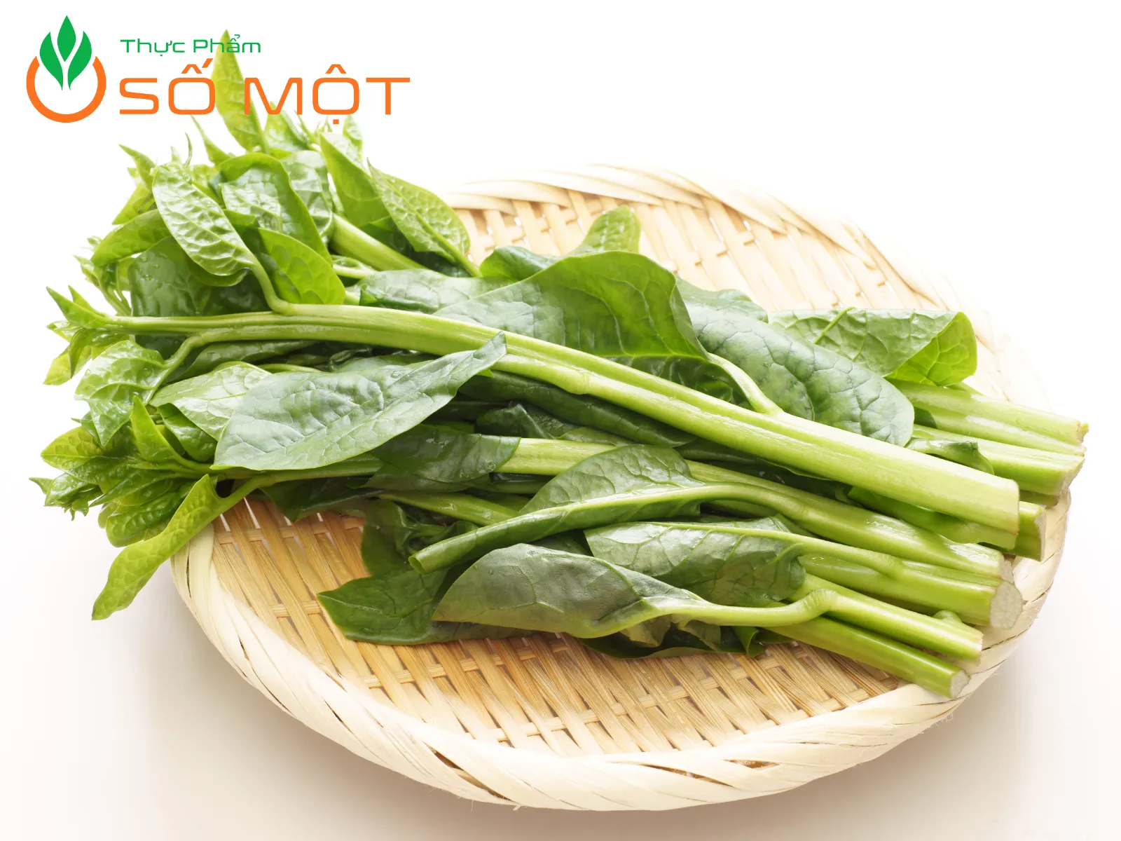 Rau mồng tơi được xem là bài thuốc tốt cho xương khớp