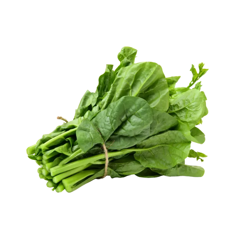 Rau mồng tơi tươi ngon giá sỉ tại Thực Phẩm Số Một