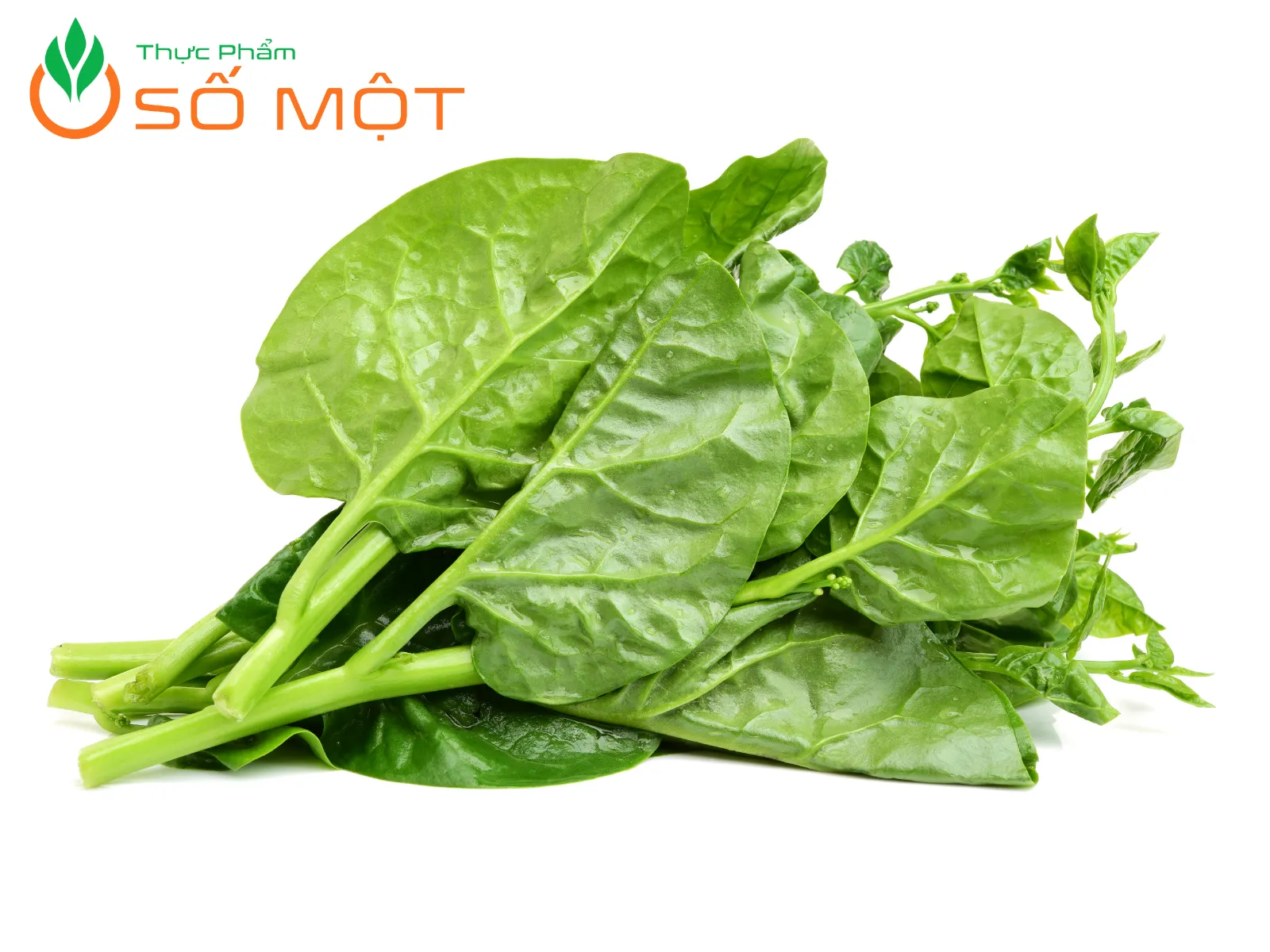 Rau mồng tơi tại Thực Phẩm Số Một luôn tươi ngon