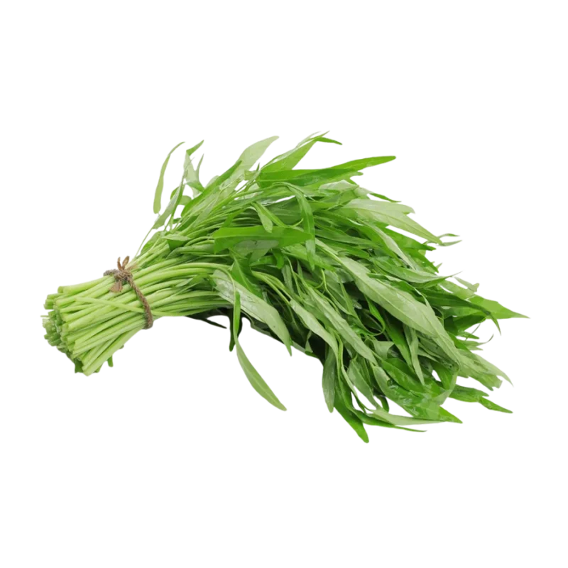 Rau muống hạt tươi ngon, giá sỉ tại Thực Phẩm Số Một