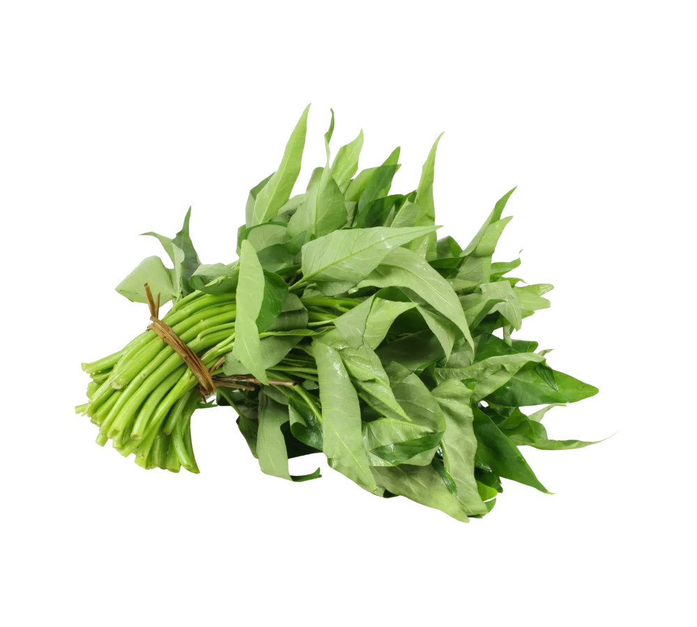 Rau muống nước giá sỉ tại Thực Phẩm Số Một