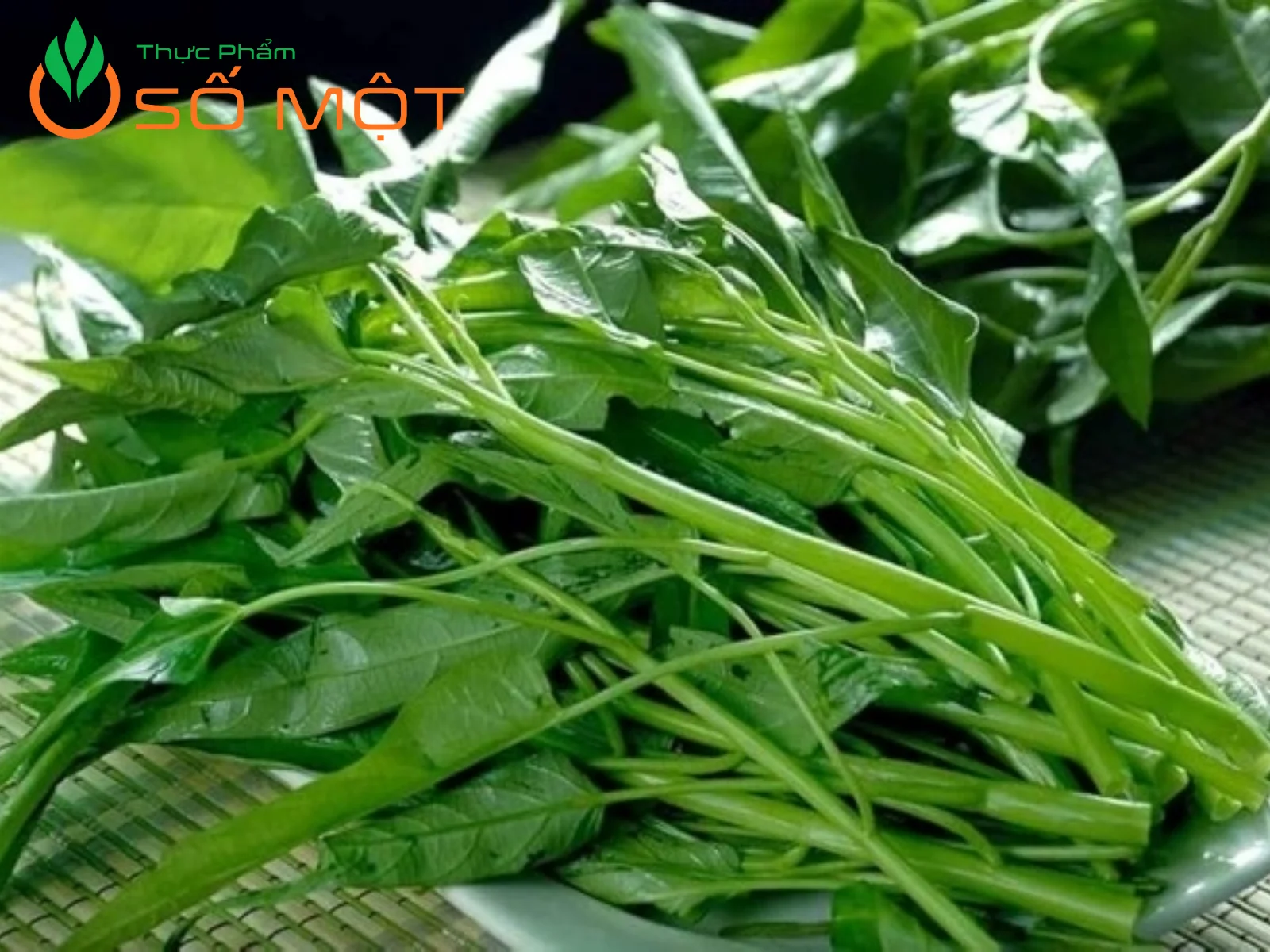 Thực Phẩm Số Một cung cấp rau muống số lượng lớn, giá sỉ cạnh tranh