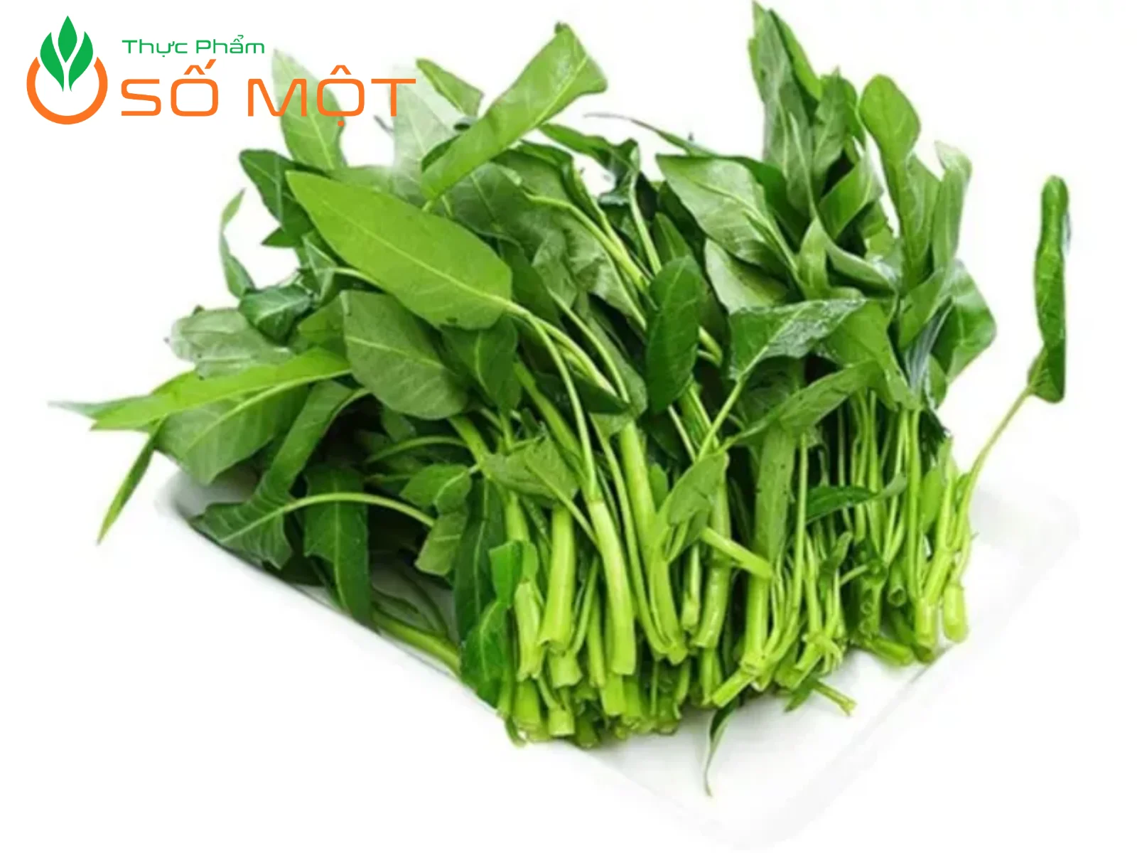 Thực Phẩm Số Một luôn đáp ứng khả năng cung ứng rau muống số lượng lớn