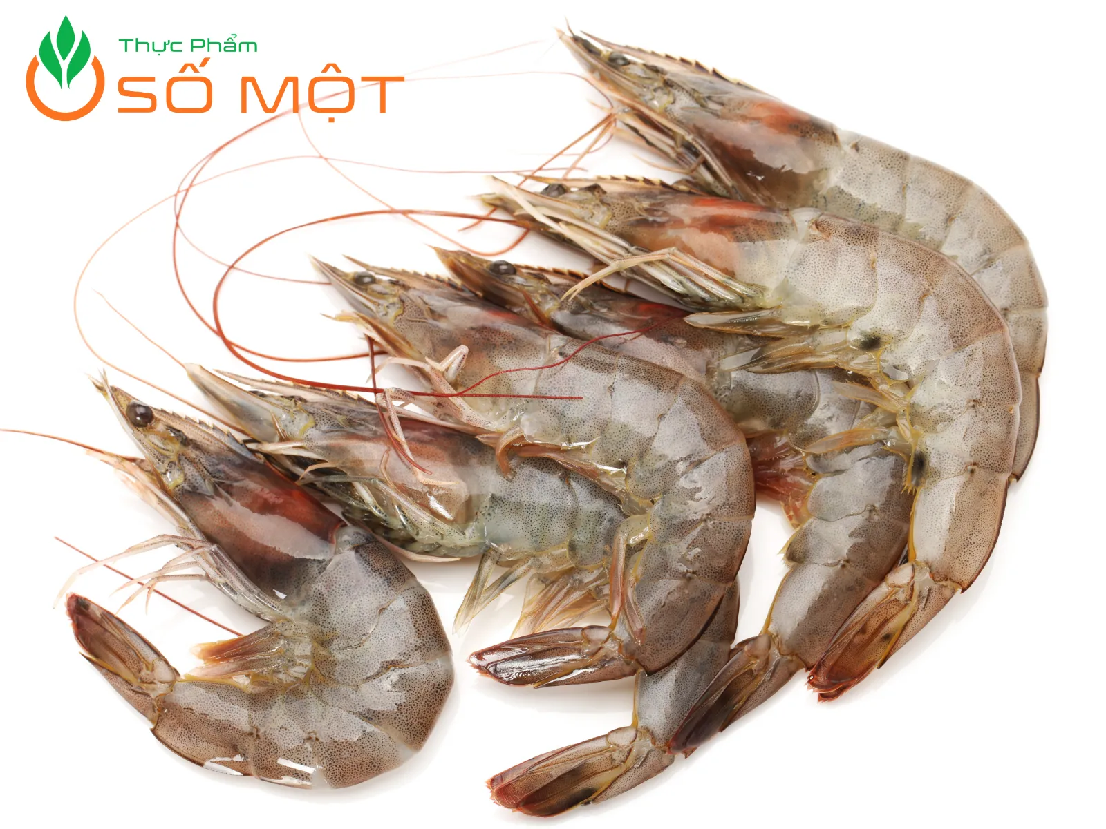 Giá tôm thẻ bị chi phối bởi nhiều yếu tố