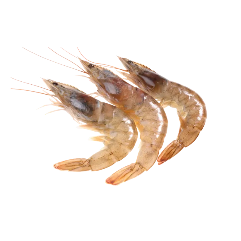 Tôm thẻ tươi giá sỉ tại Thực Phẩm Số Một