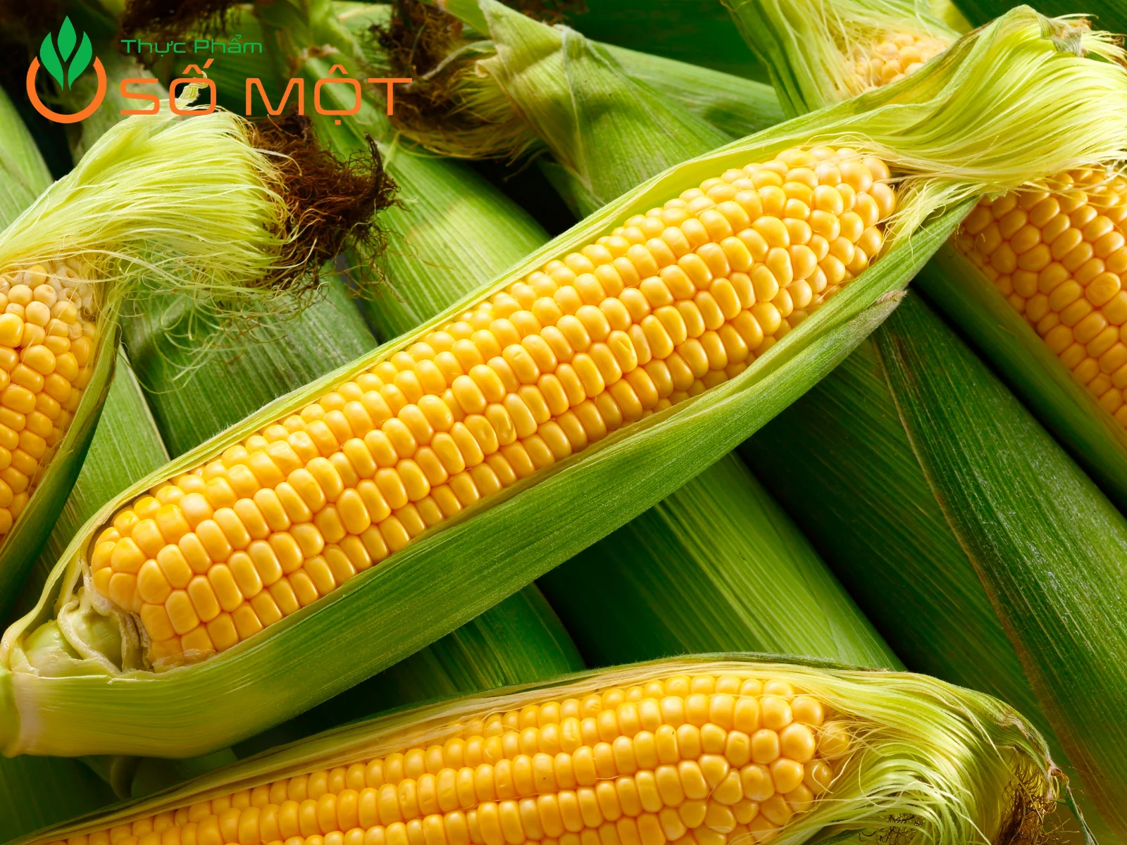 Bắp Mỹ tươi mỗi ngày, đảm bảo độ ngọt tự nhiên