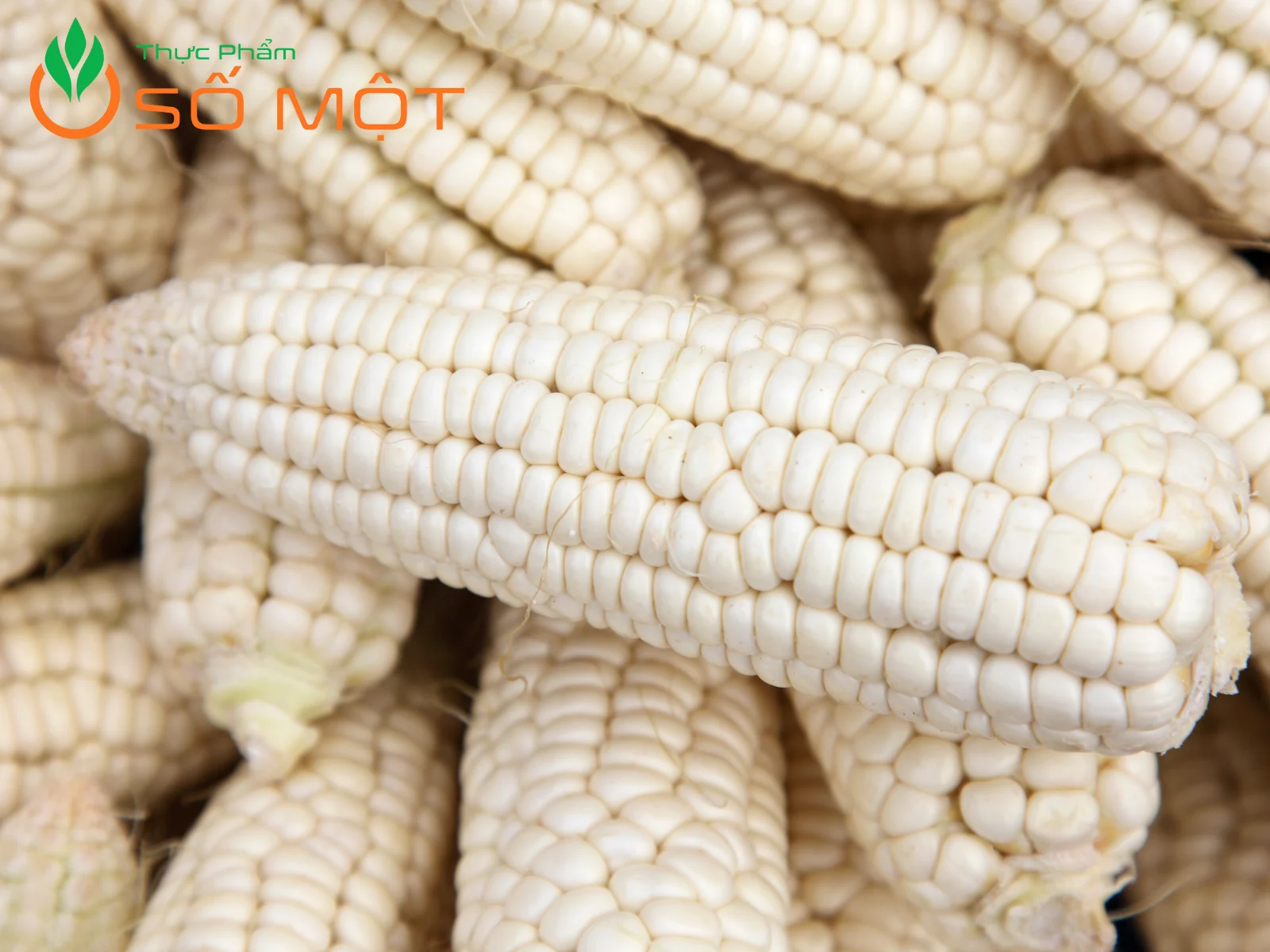 Thực Phẩm Số Một luôn chọn nguồn cung cấp bắp nếp đạt chuẩn, đảm bảo an toàn