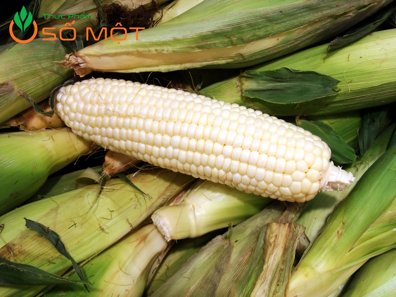 Thực Phẩm Số Một là nhà cung cấp bắp nếp sạch, dẻo thơm, giá sỉ tốt