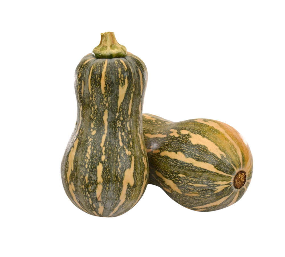 Bí đỏ hồ lô chất lượng, giá sỉ tại Thực Phẩm Số Một