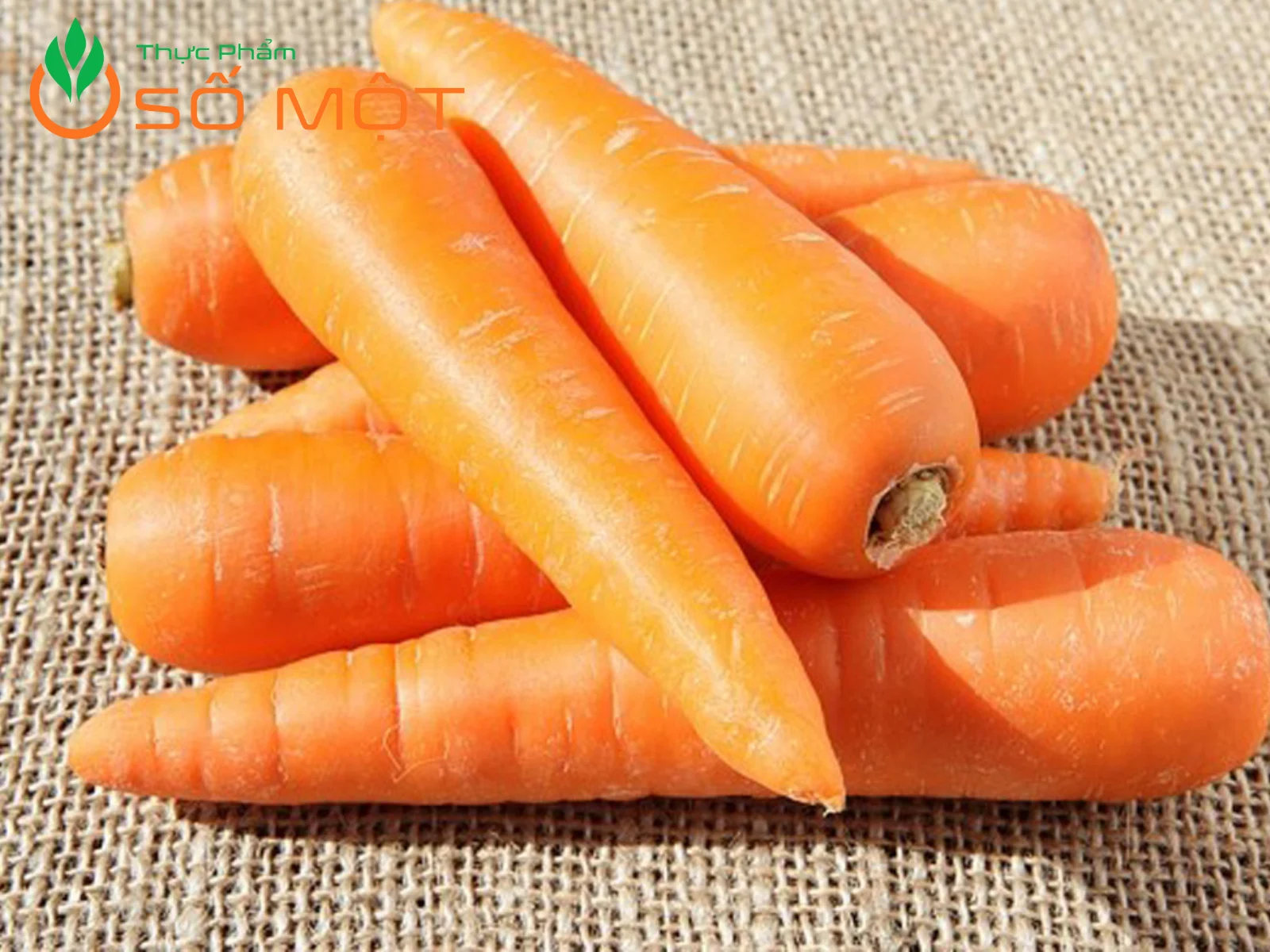 Thực Phẩm Số Một chuyên cung cấp cà rốt tươi, giá sỉ