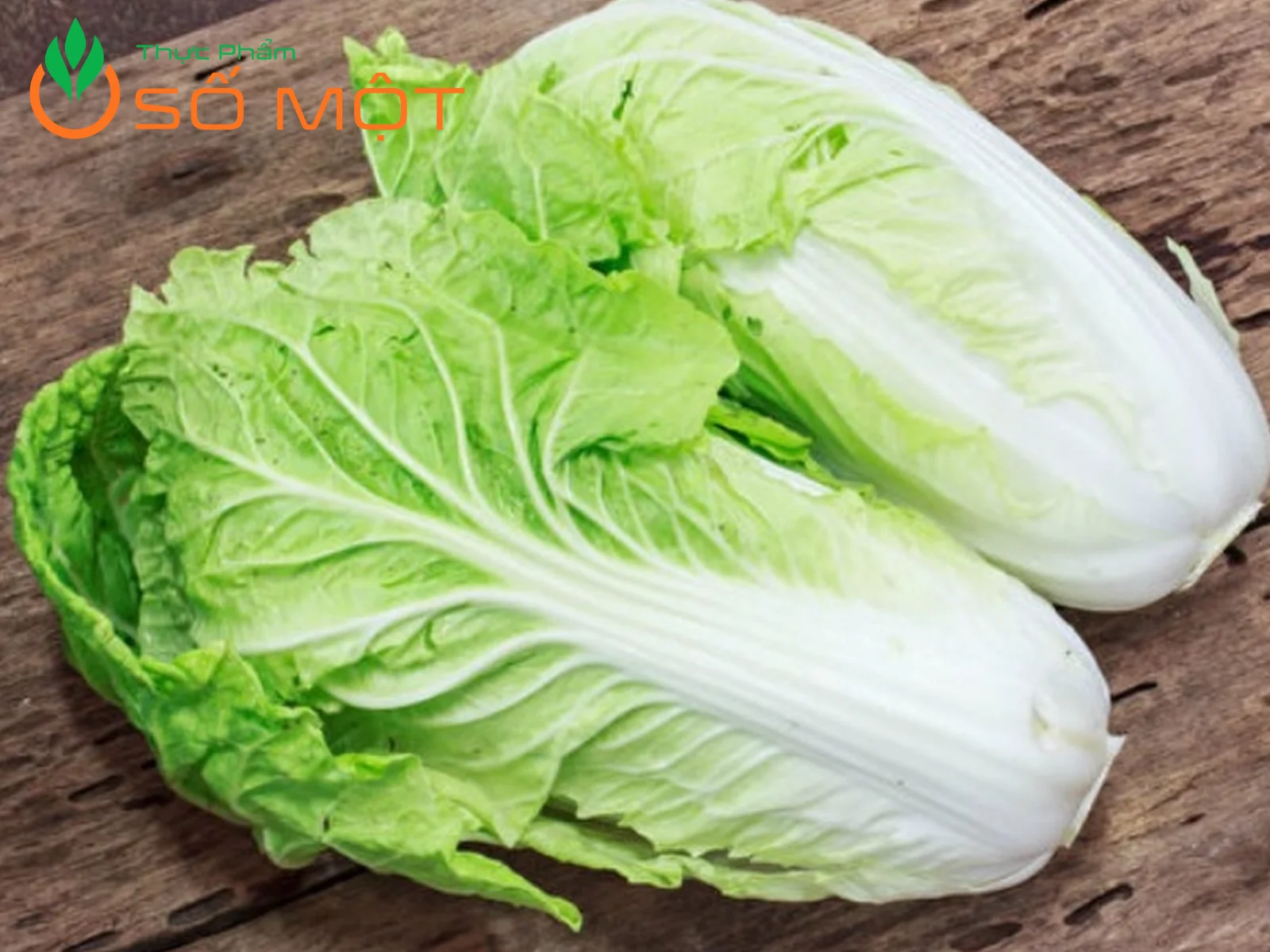 Thực Phẩm Số Một chuyên cung cấp cải thảo chất lượng, giá sỉ