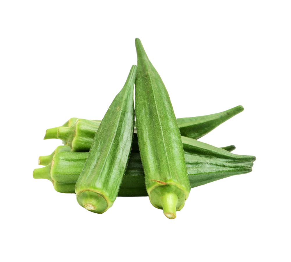 Đậu bắp tươi giá sỉ tại Thực Phẩm Số Một