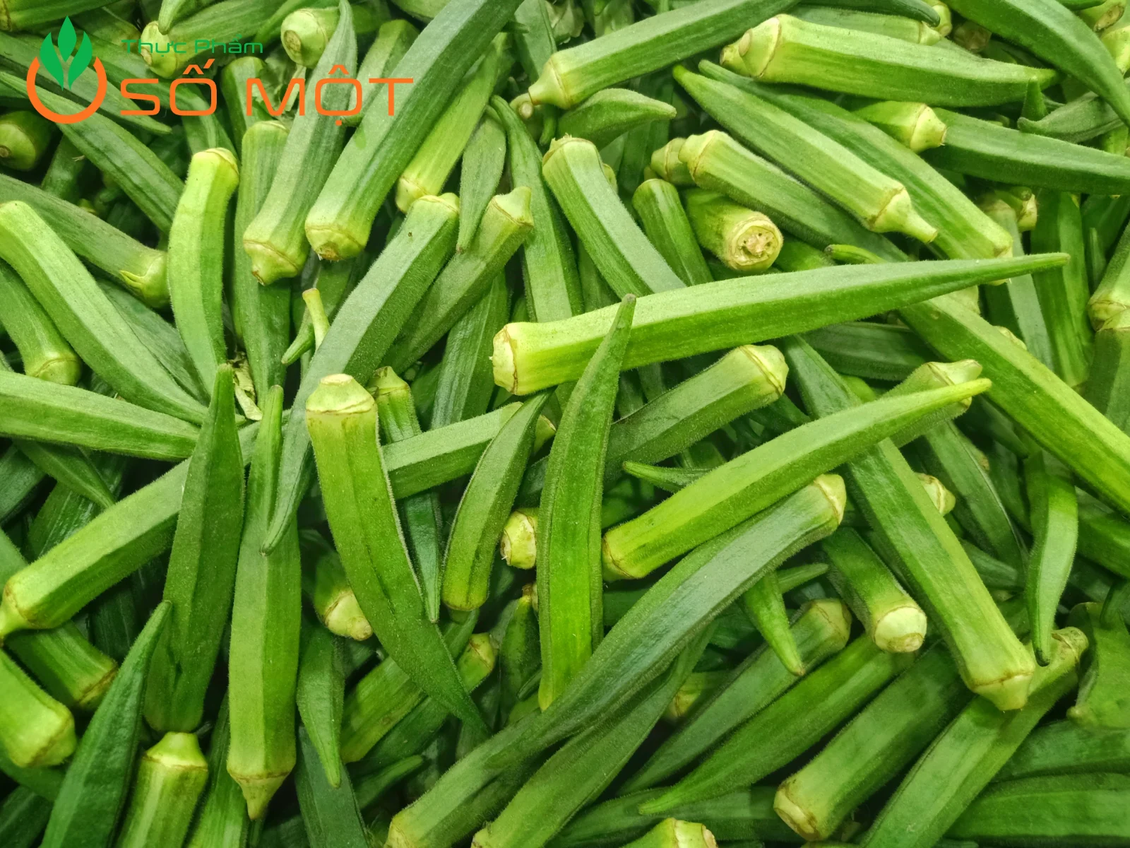 Thực Phẩm Số Một chuyên cung cấp đậu bắp tươi, giá sỉ tốt