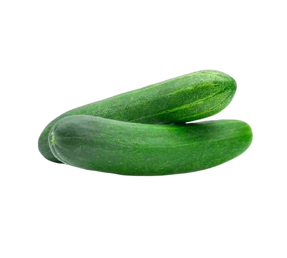 Dưa leo tươi, chất lượng, giá sỉ tại Thực Phẩm Số Một