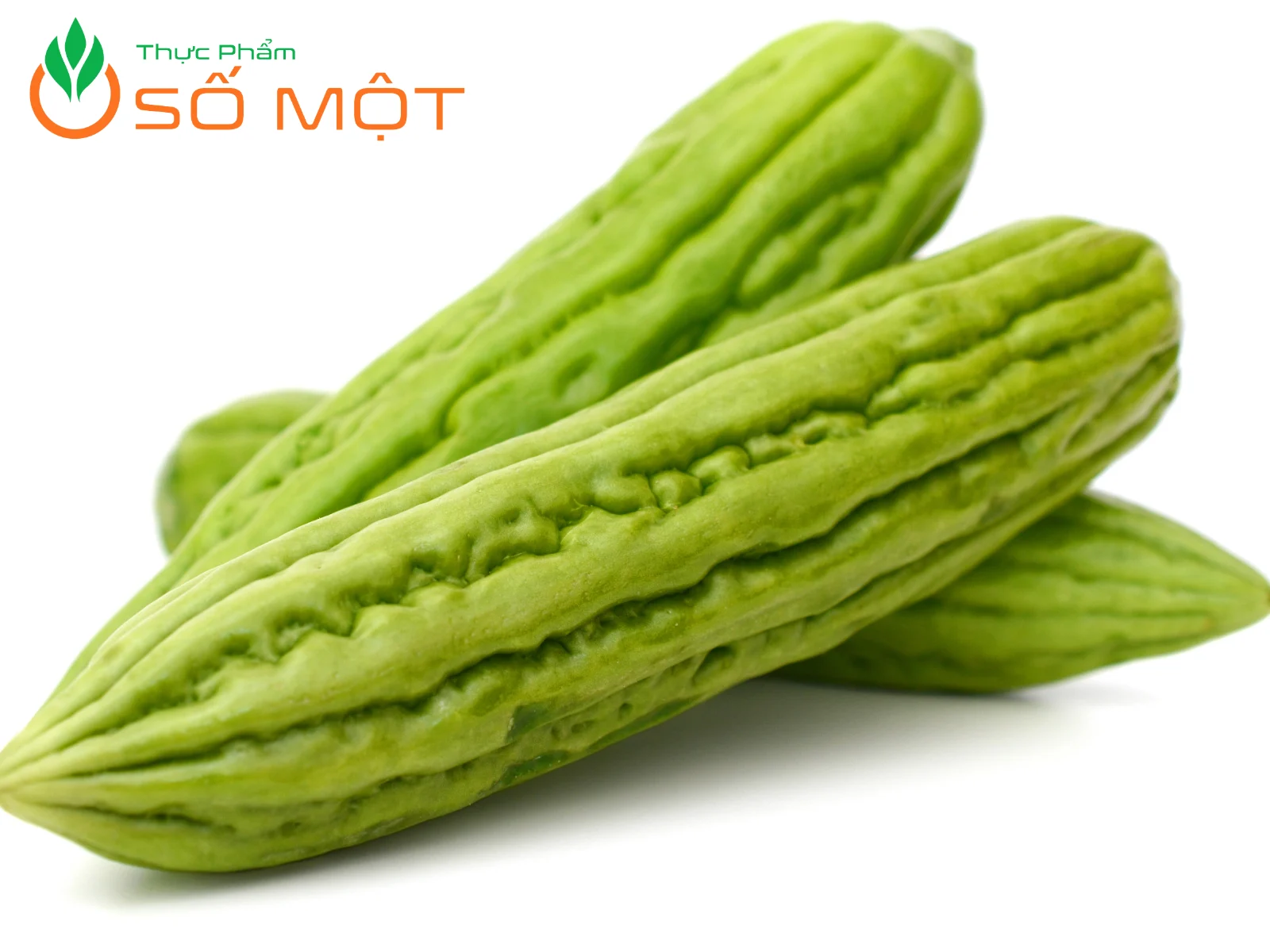 Thực Phẩm Số Một cung cấp khổ qua ổn định về số lượng, chất lượng