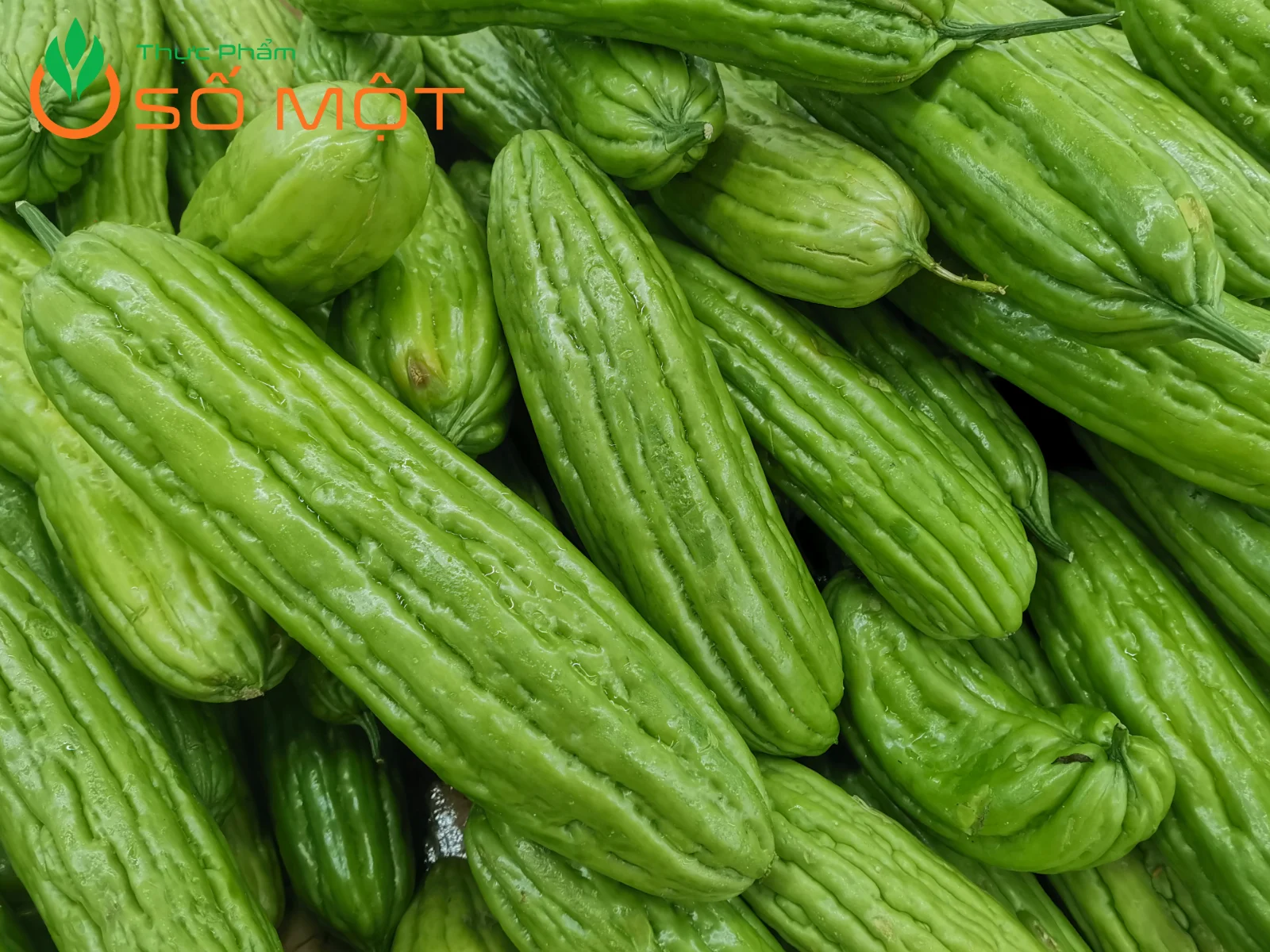 Khổ qua là loại rau củ rất ít calo