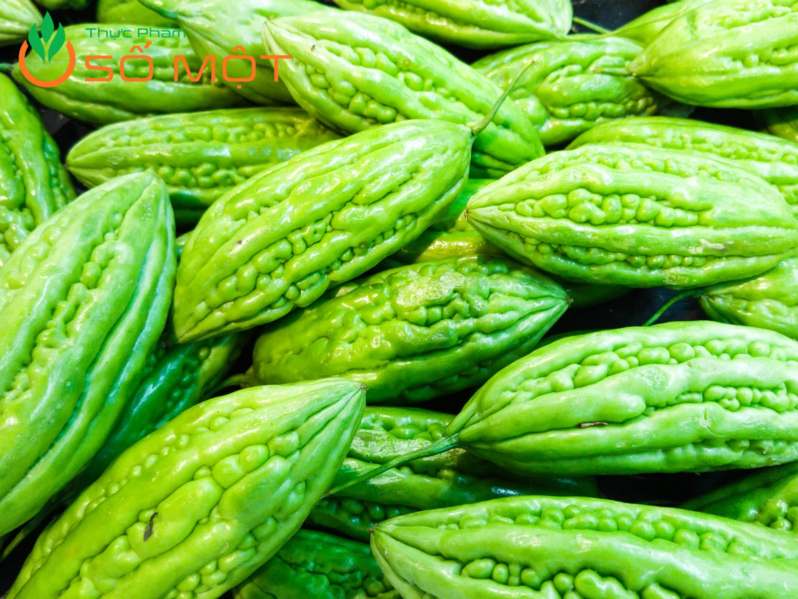 Thực Phẩm Số Một tự hào là đơn vị cung cấp khổ qua giá sỉ số lượng lớn cho nhà hàng, trường học, suất ăn công nghiệp