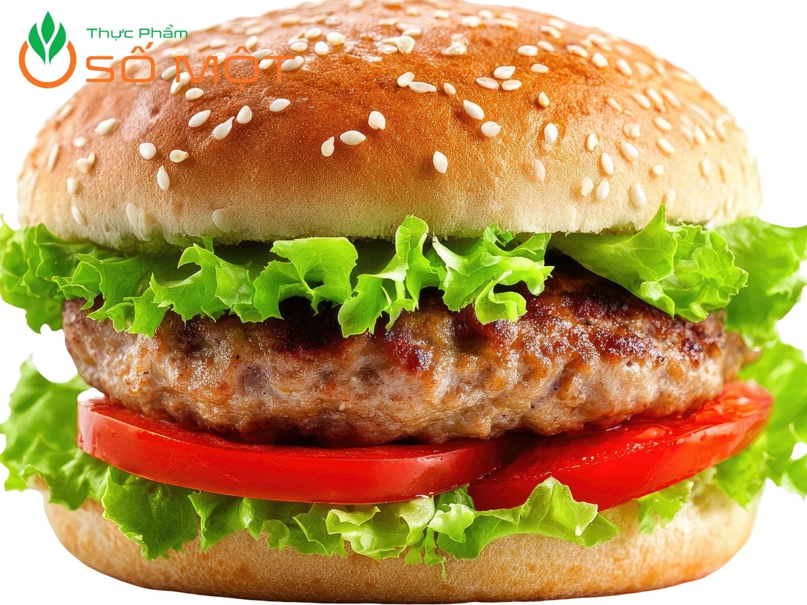 Xà lách mỡ là loại rau được dùng phổ biến trong món Hamburger