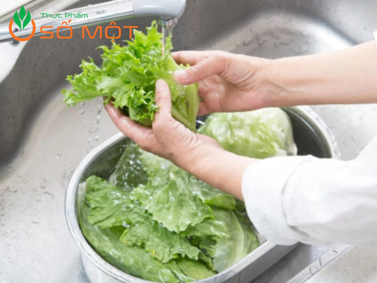 Nên sơ chế kỹ xà lách xoăn trước khi chế biến