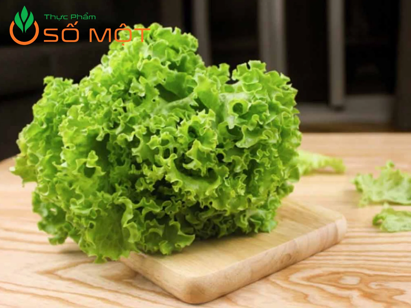 Thực Phẩm Số Một tự hào là đơn vị cung cấp xà lách xoăn uy tín, chất lượng, giá cạnh tranh